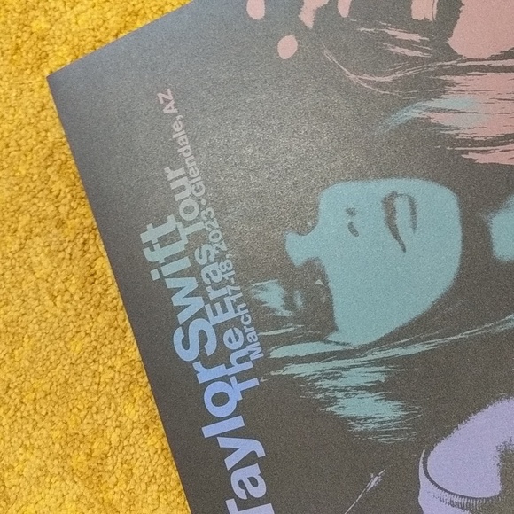 Taylor Swift VIP box - Picture 14 of 14